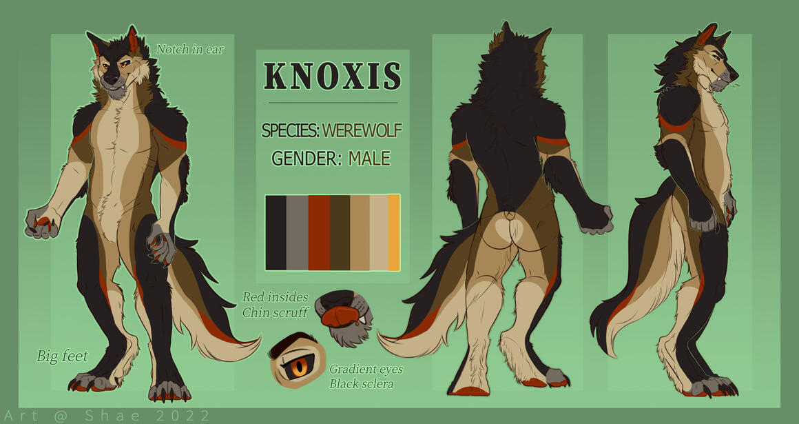 Ref with 2 extra full body views